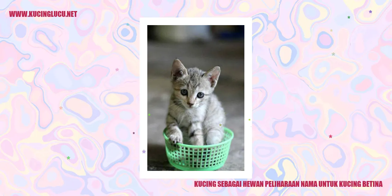 Kucing Betina