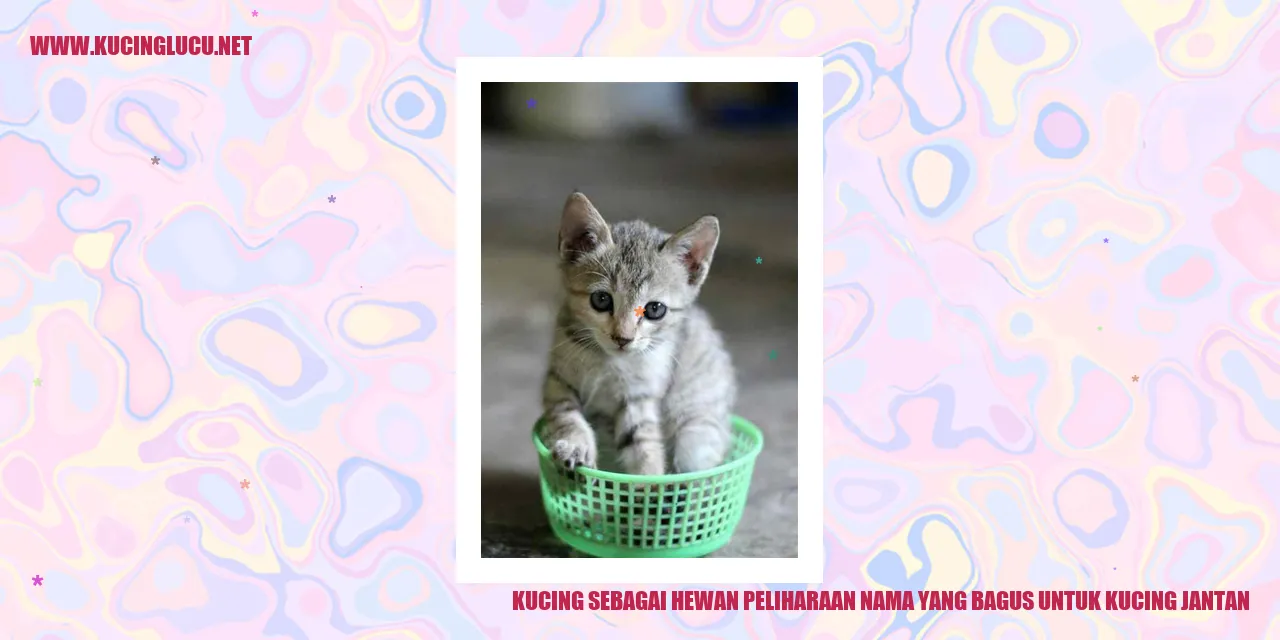 Kucing sebagai Sahabat