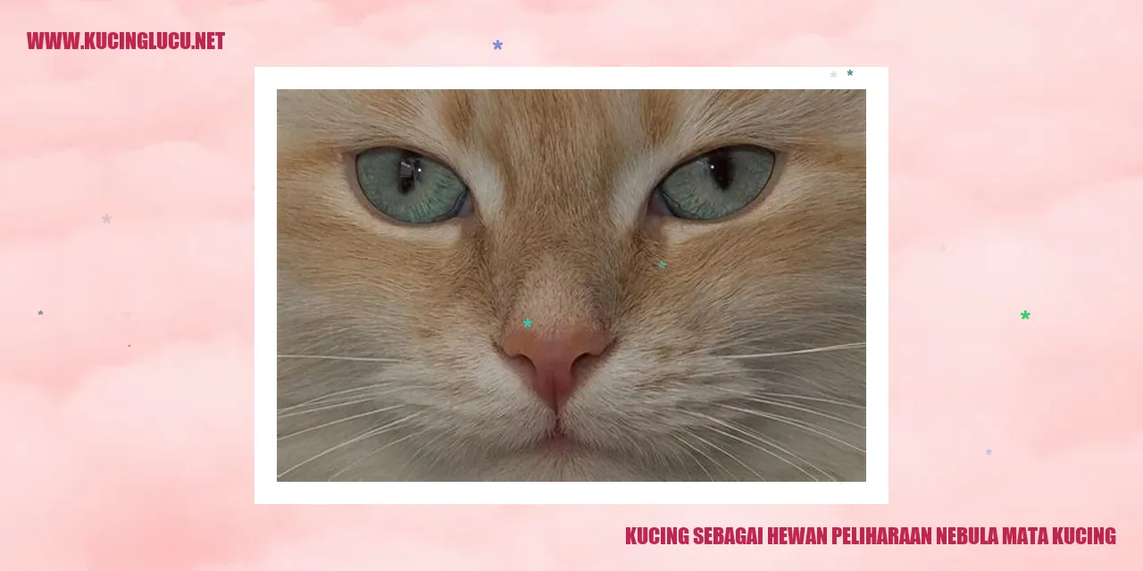 Kucing sebagai Hewan Peliharaan