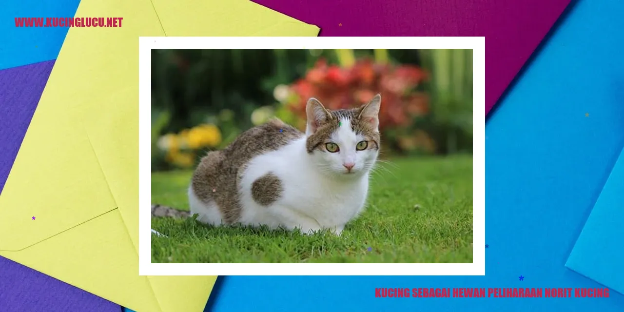 Kucing sebagai Hewan Peliharaan
