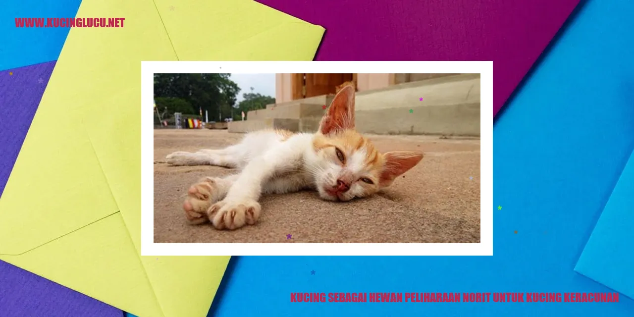 Kucing sebagai Hewan Peliharaan norit untuk kucing keracunan