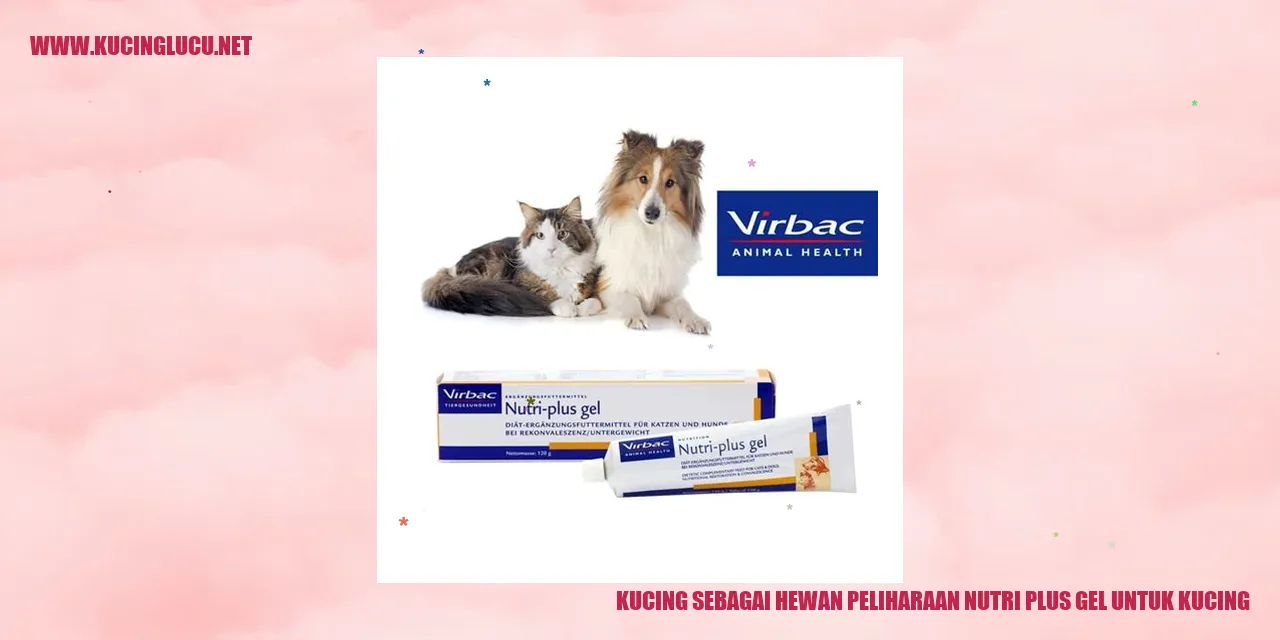 Kucing sebagai Hewan Peliharaan