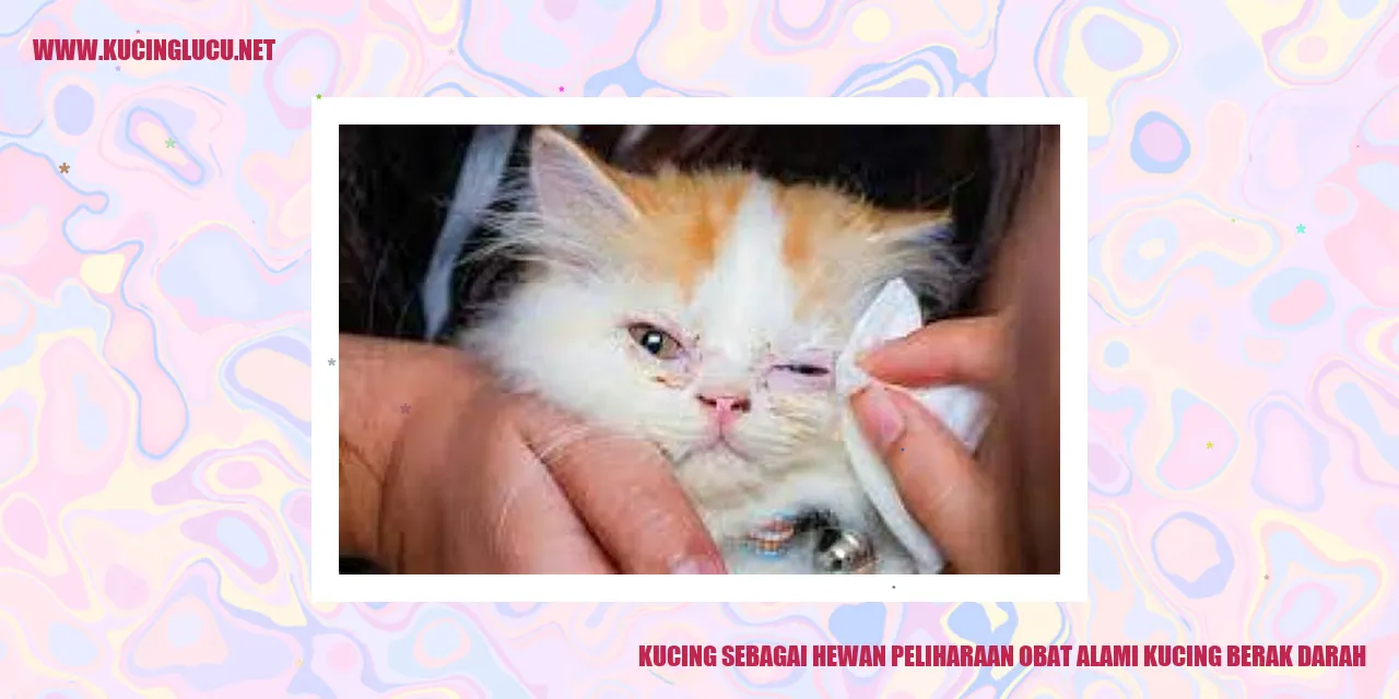Kucing sebagai Hewan Peliharaan