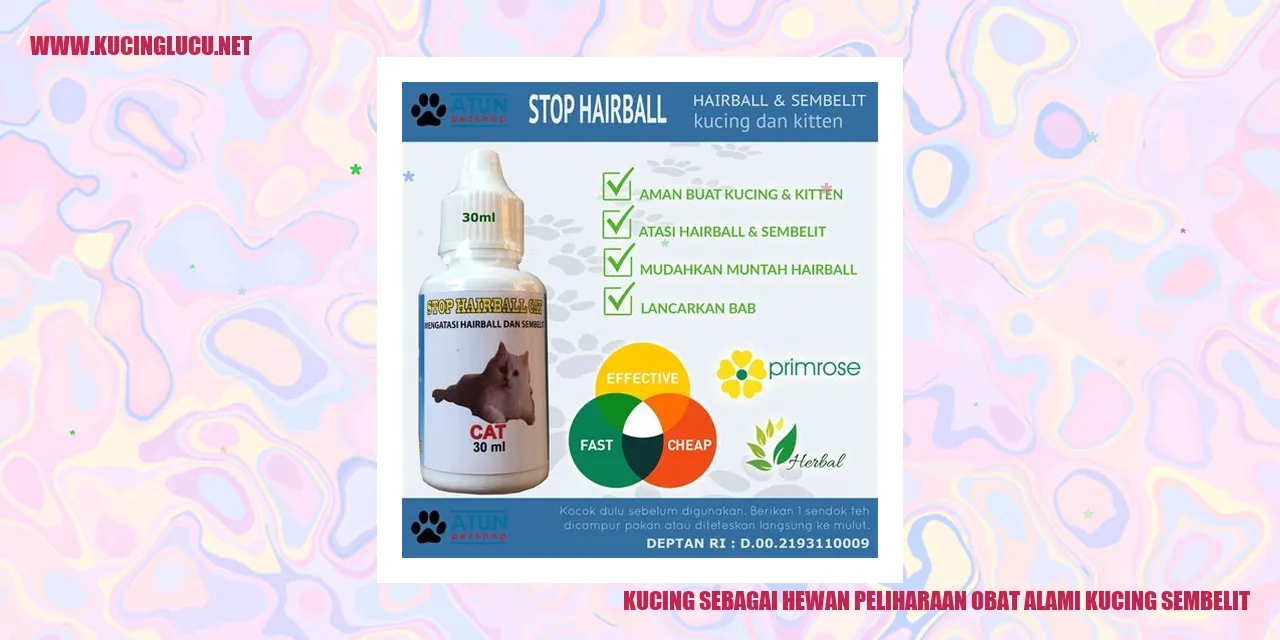 Kucing sebagai Hewan Peliharaan obat alami kucing sembelit