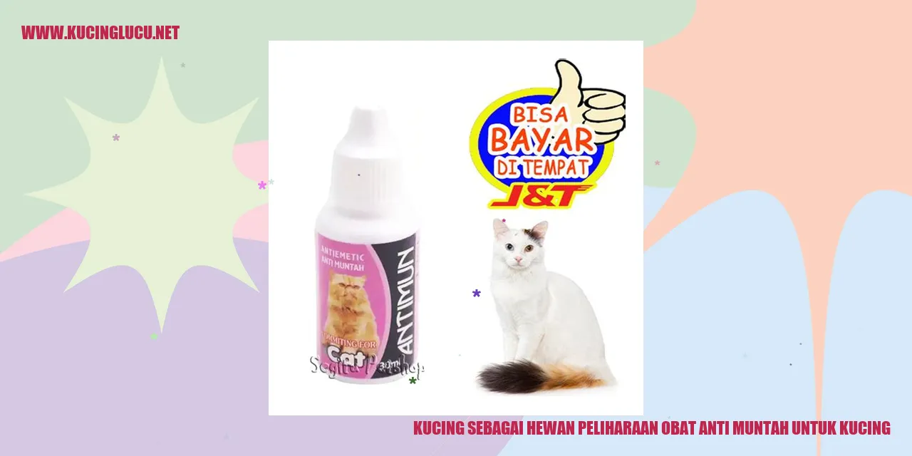 kucing