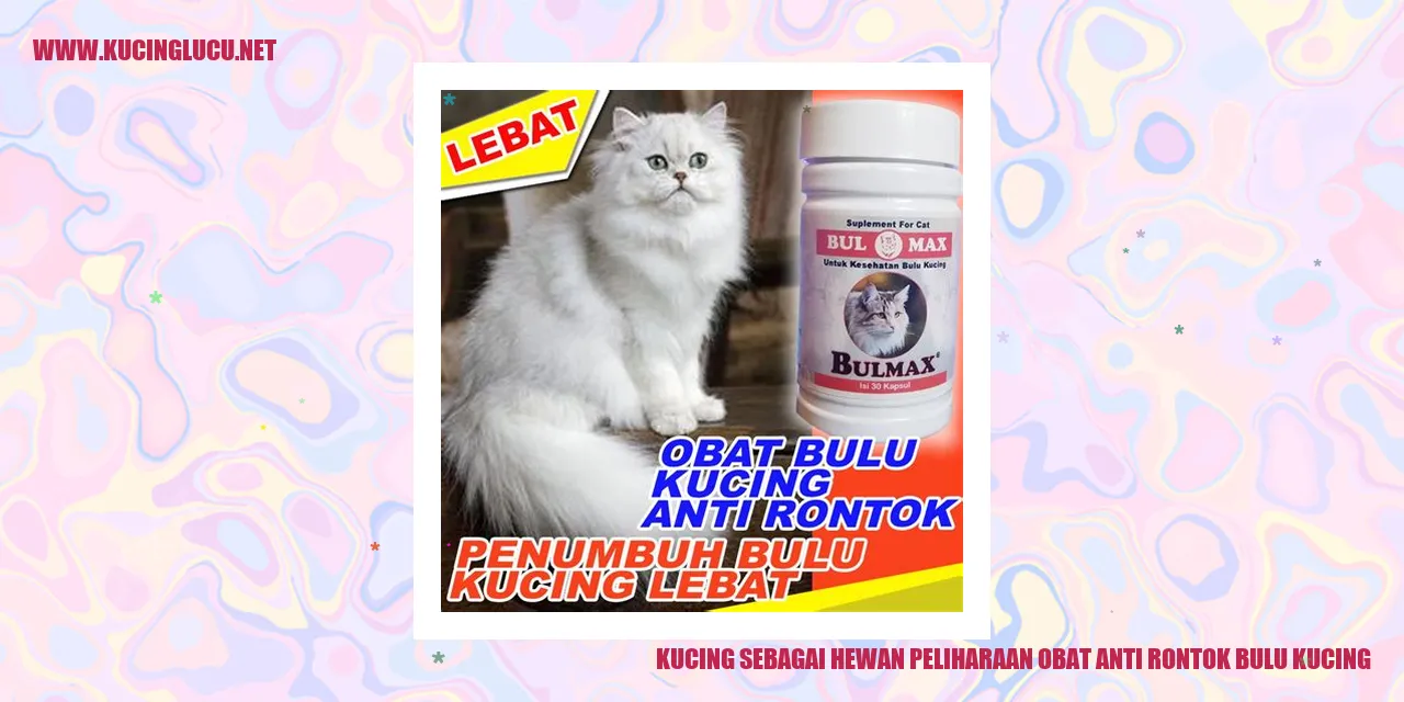 Kucing Peliharaan
