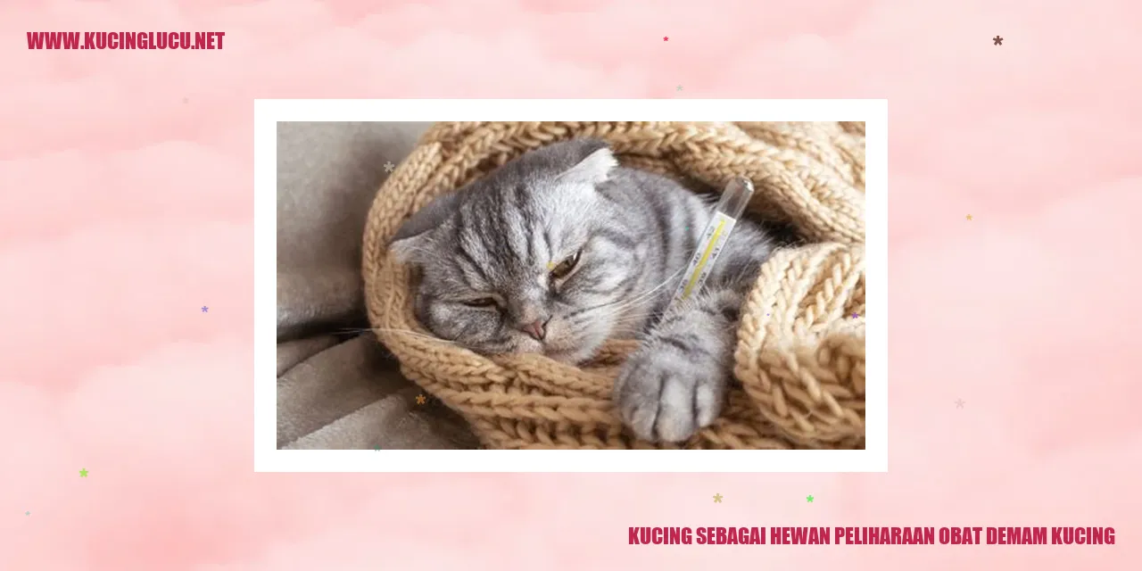 gambar kucing