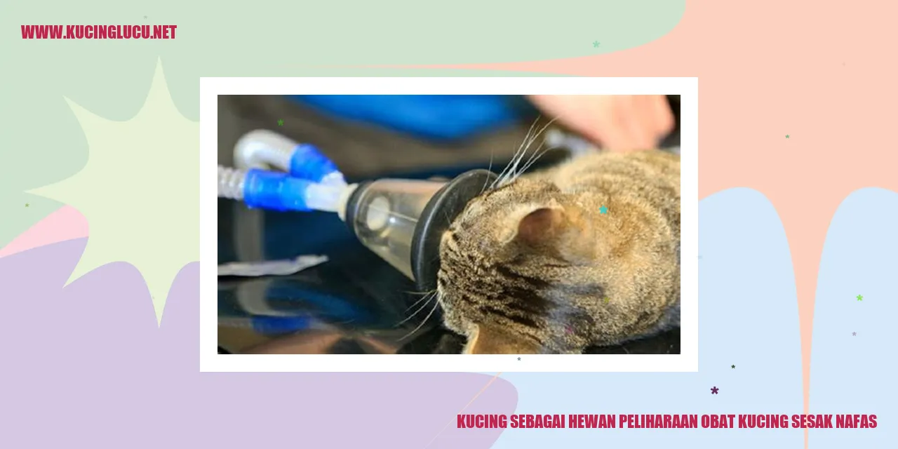 Kucing sebagai Hewan Peliharaan