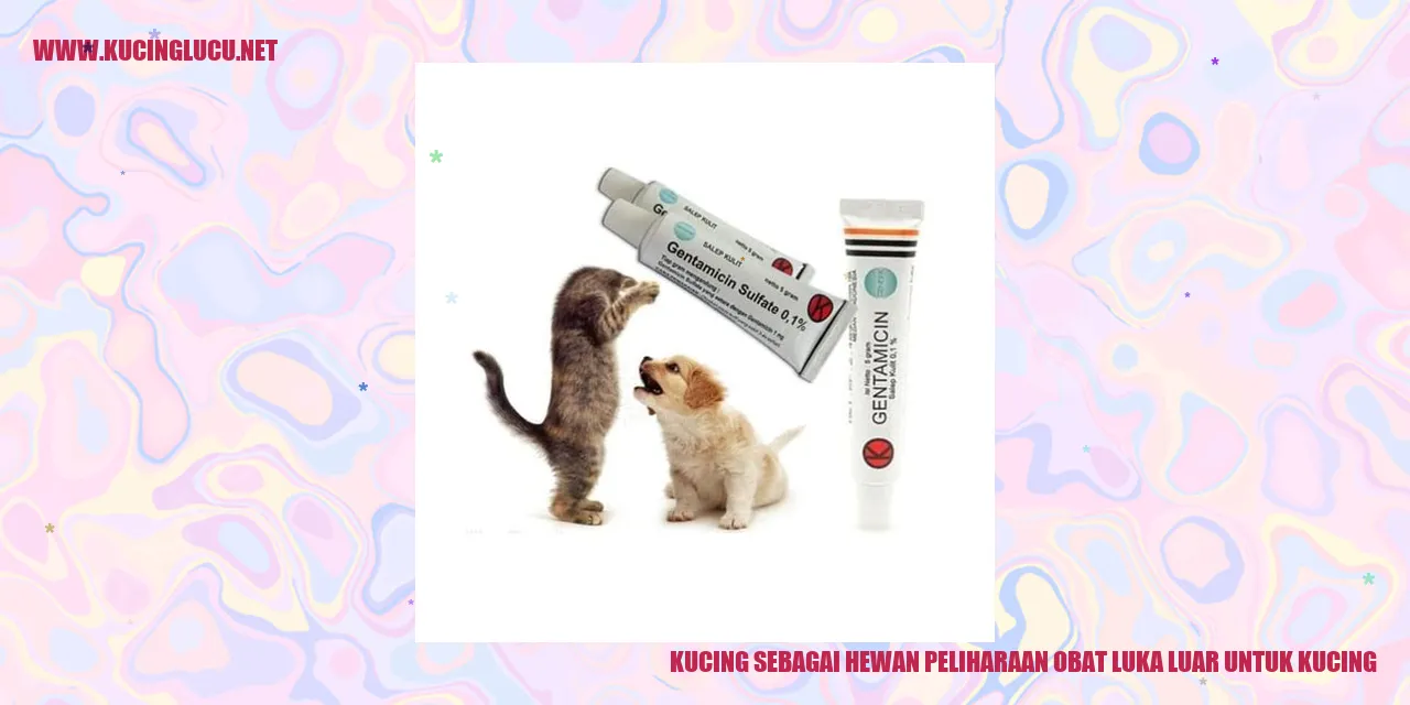 Kucing sebagai Hewan Peliharaan obat luka luar untuk kucing