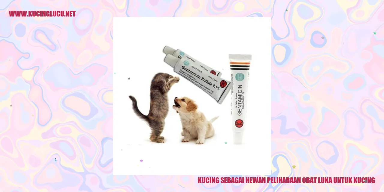 Kucing Merawat Luka