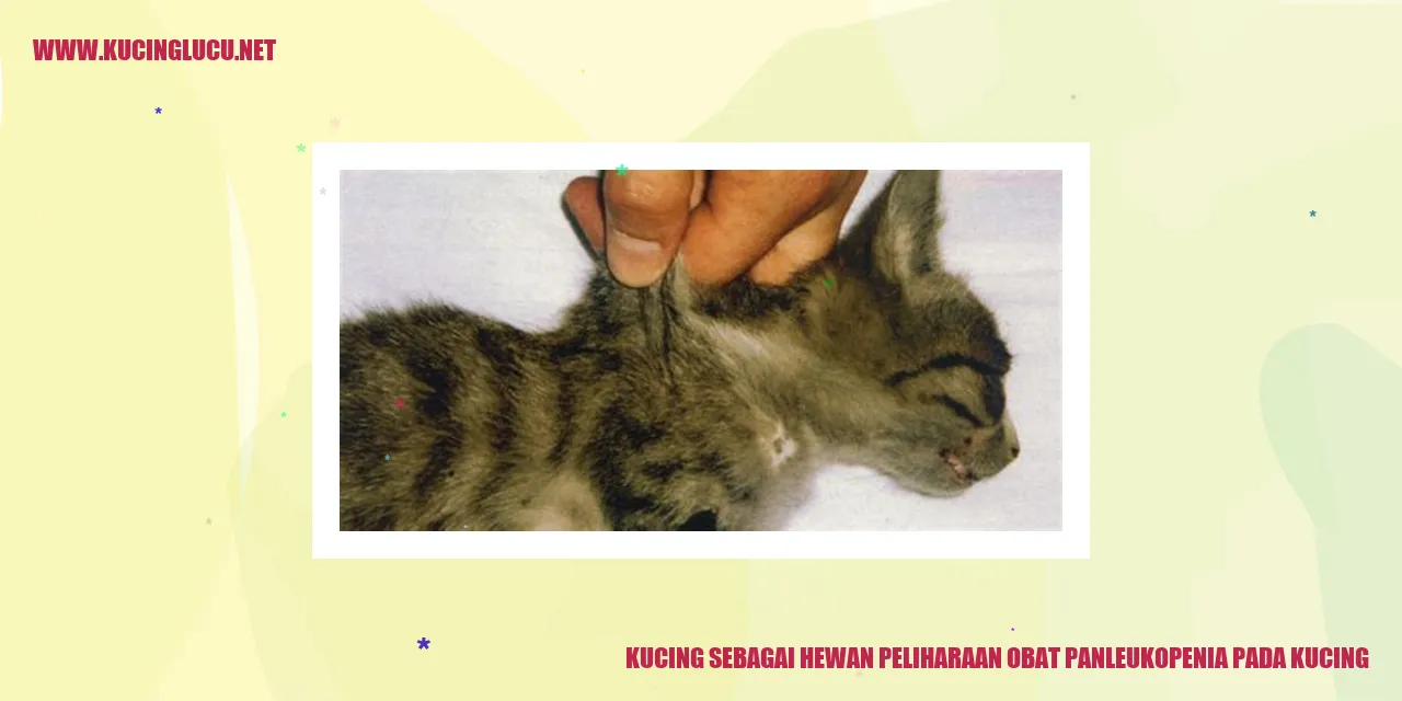 Kucing Sebagai Hewan Peliharaan obat panleukopenia pada kucing