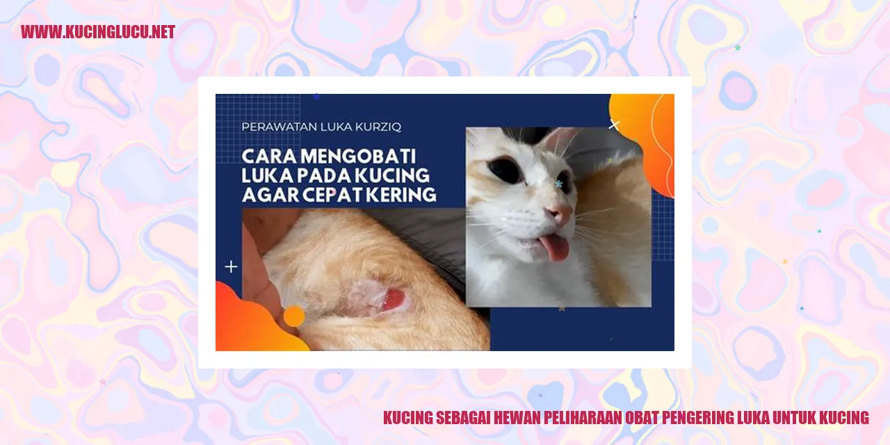 Kucing sebagai Hewan Peliharaan