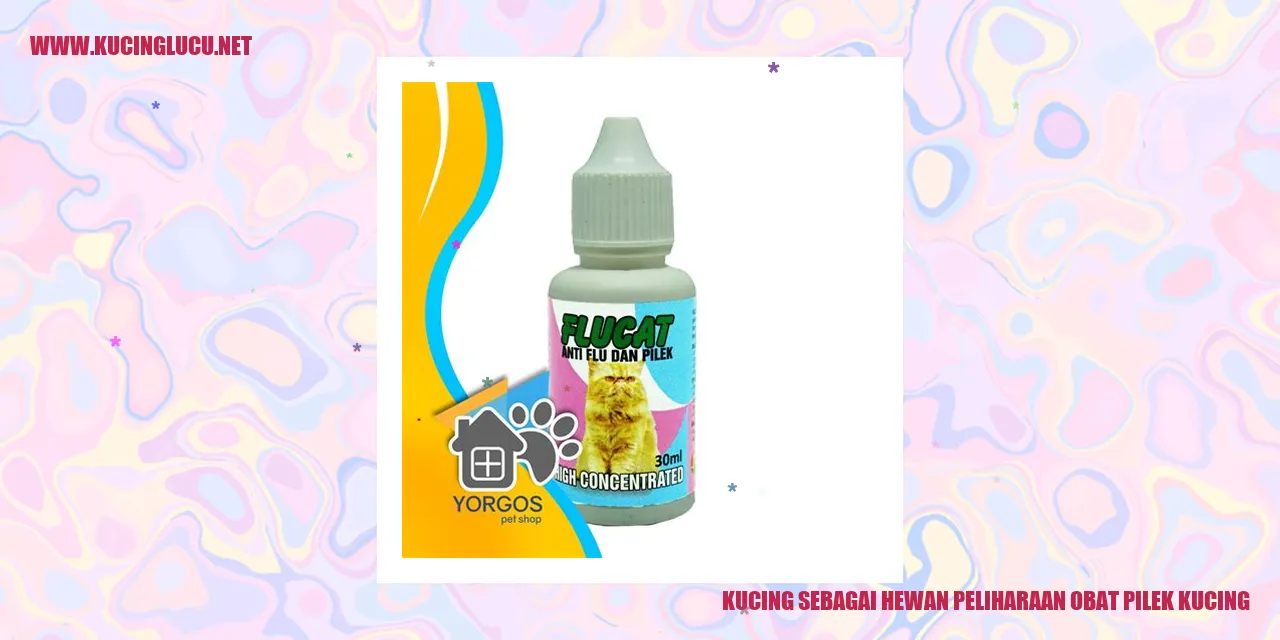 Foto Kucing