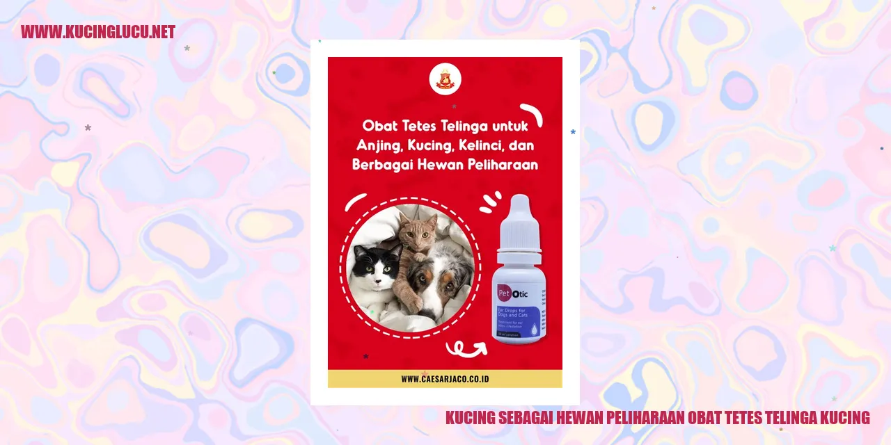 Kucing sebagai Hewan Peliharaan