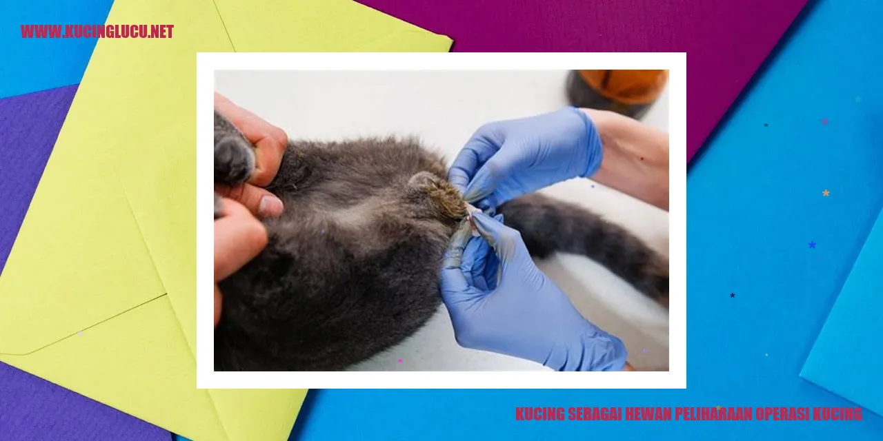 Gambar Kucing sebagai Hewan Peliharaan yang Menyenangkan