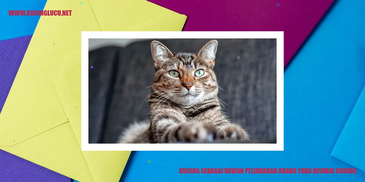 gambar kucing yang menggemaskan