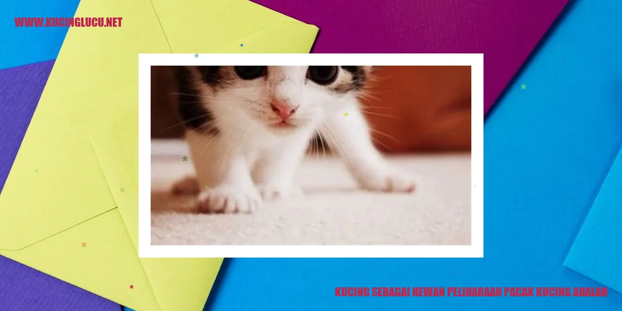 Kucing sebagai Hewan Peliharaan
