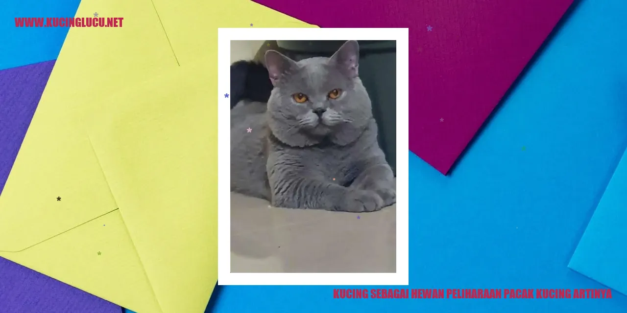 Kucing sebagai Hewan Peliharaan