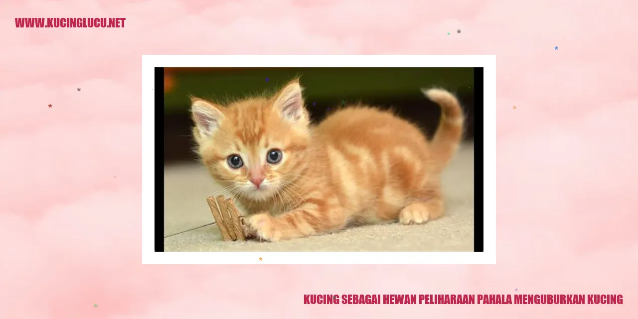 Kucing yang Menggemaskan