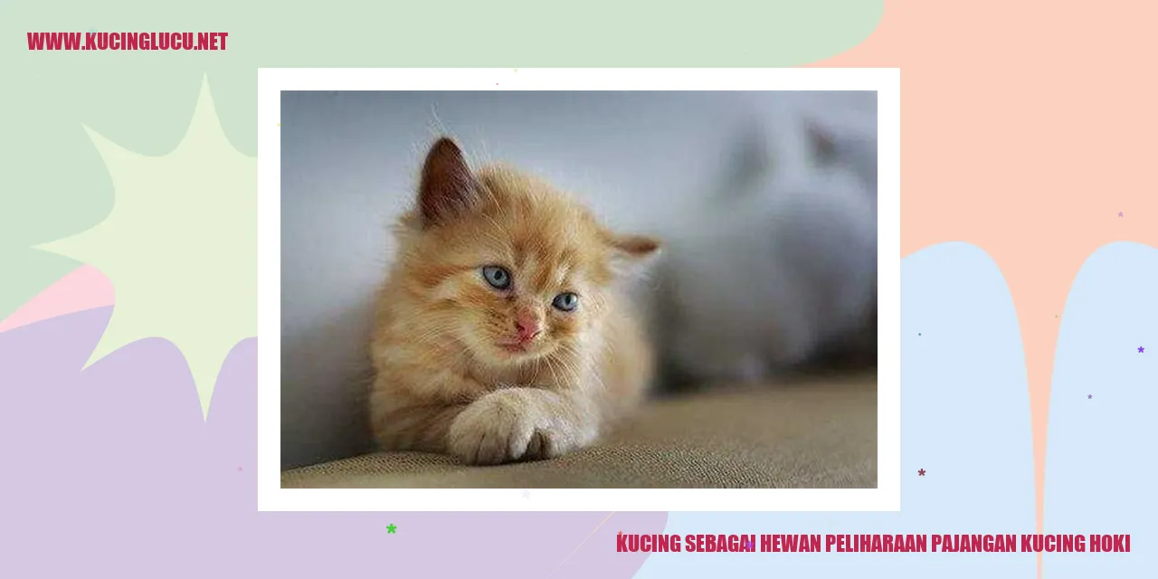 Kucing sebagai Hewan Peliharaan pajangan kucing hoki