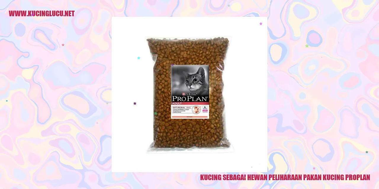 Kucing sebagai Hewan Peliharaan pakan kucing proplan