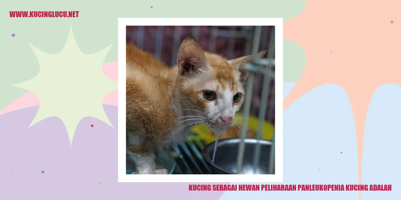 Kucing sebagai Hewan Peliharaan