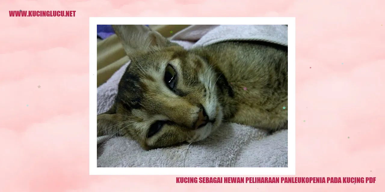 Ilustrasi kucing