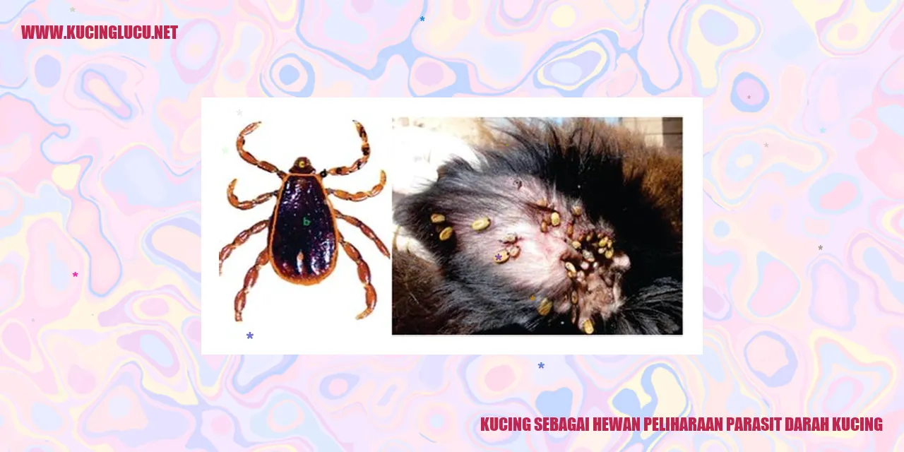 Gambar kucing