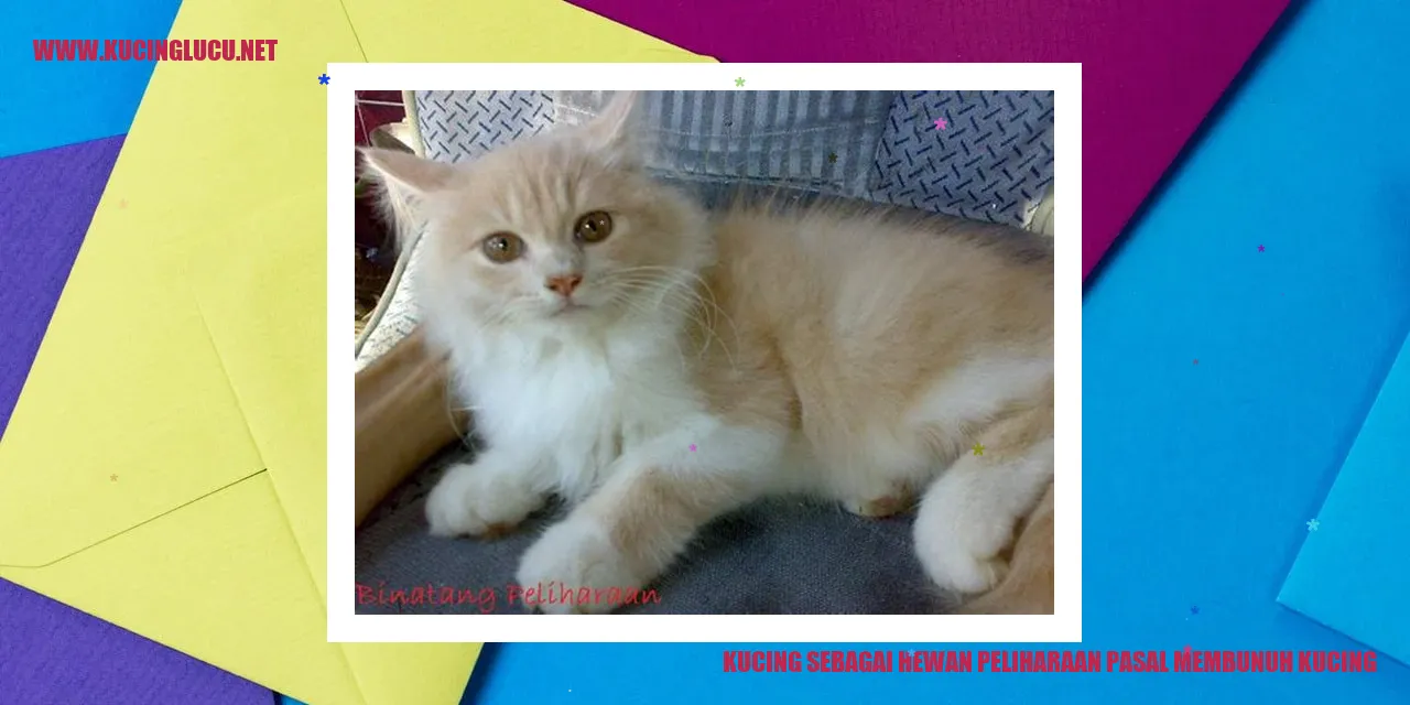 Kucing sebagai Hewan Peliharaan pasal membunuh kucing