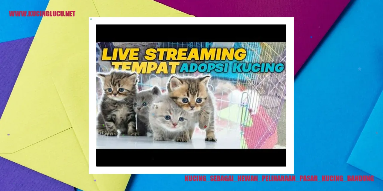 Kucing sebagai Hewan Peliharaan