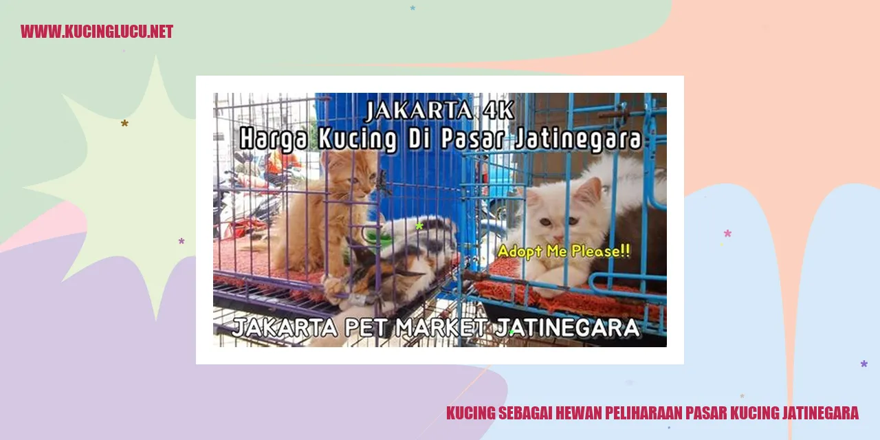 Kucing sebagai Hewan Peliharaan pasar kucing jatinegara