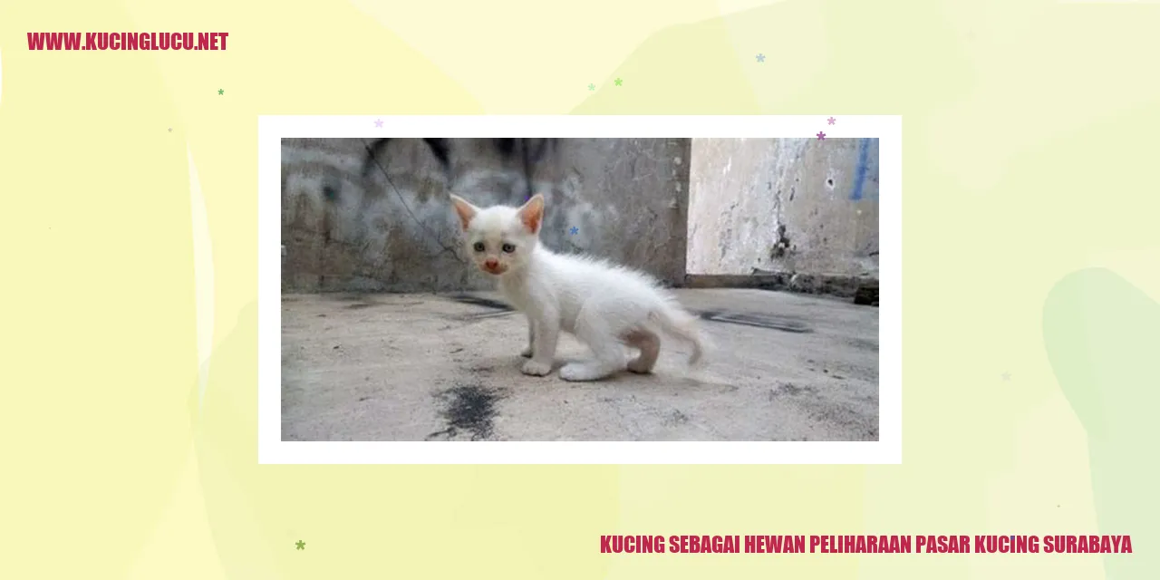 Kucing sebagai Hewan Peliharaan