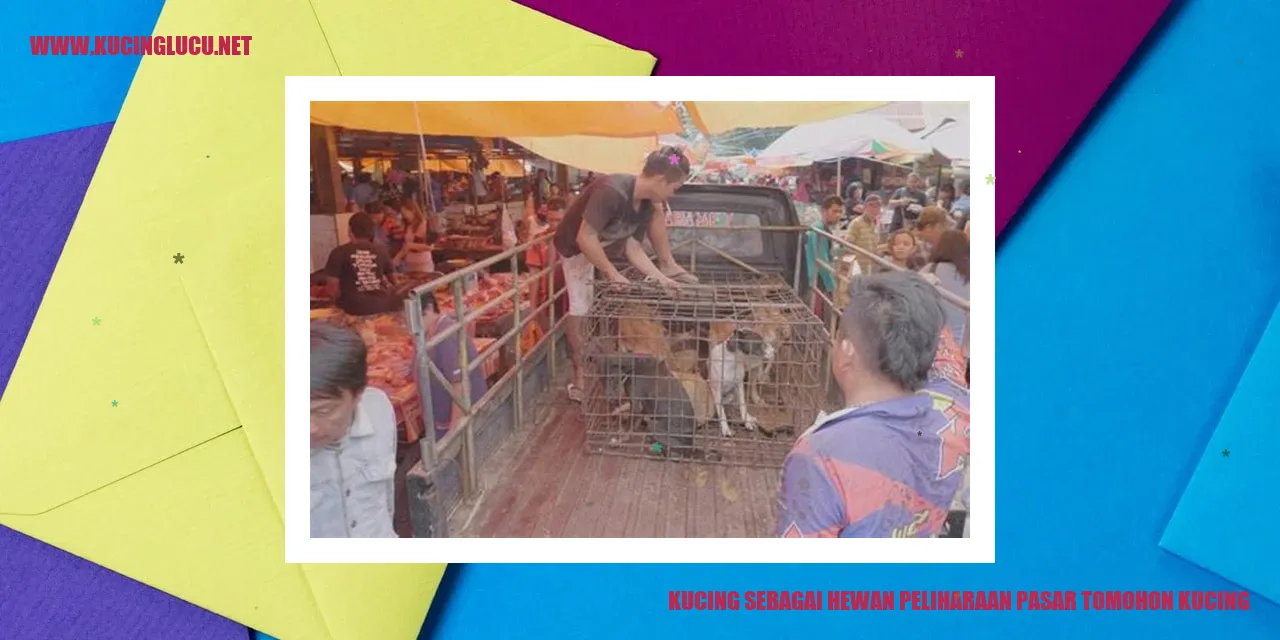 Gambar kucing