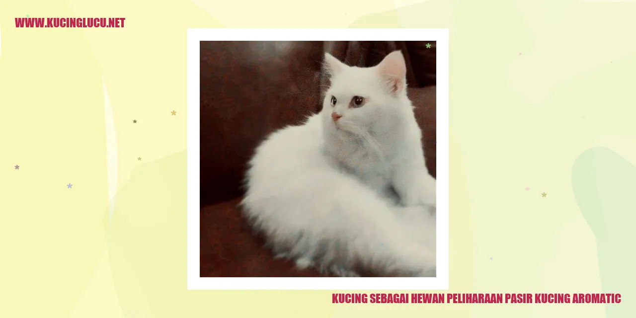 Kucing sebagai Hewan Peliharaan pasir kucing aromatic