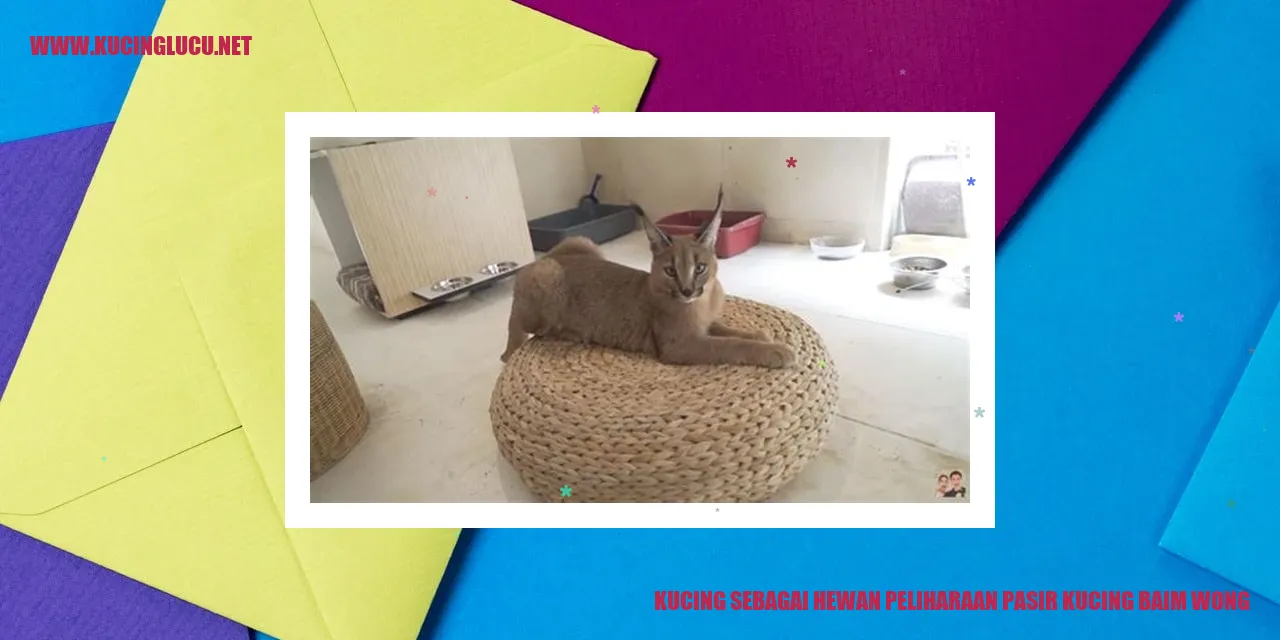 Kucing sebagai Hewan Peliharaan