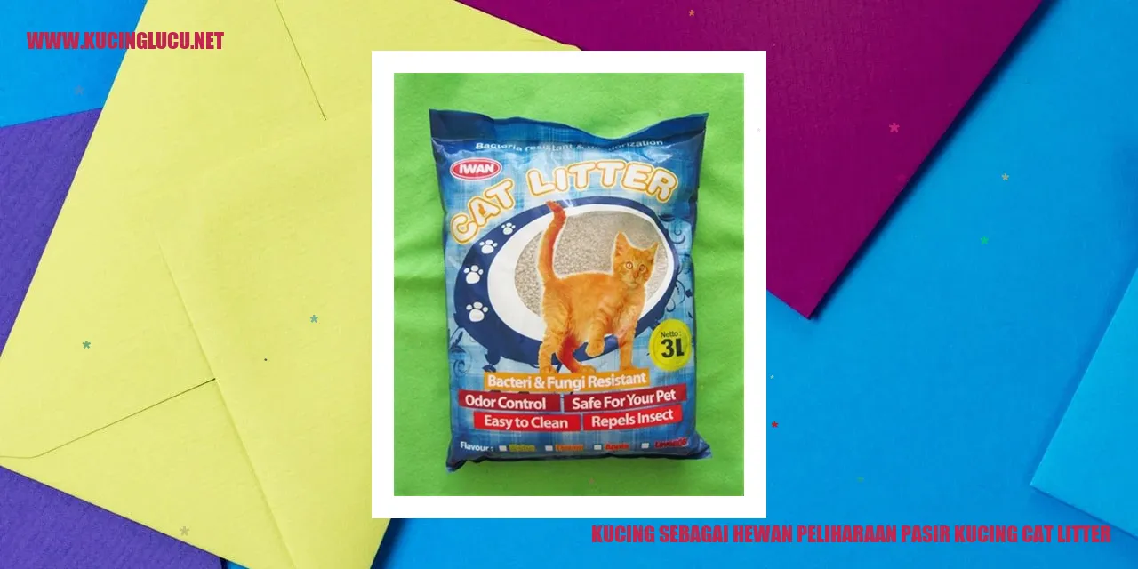Kucing menggunakan pasir kucing cat litter