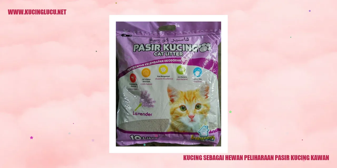 Gambar Kucing