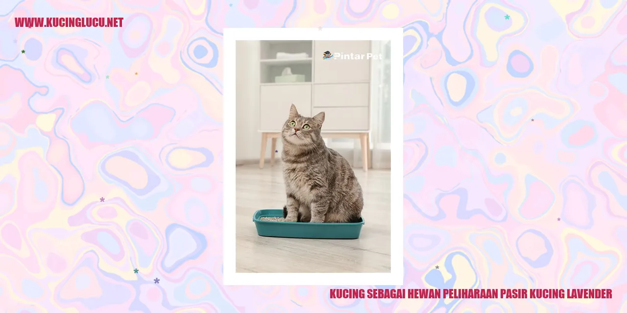Kucing
