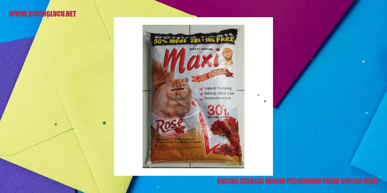 Gambar Kucing dan Pasir Kucing Maxi