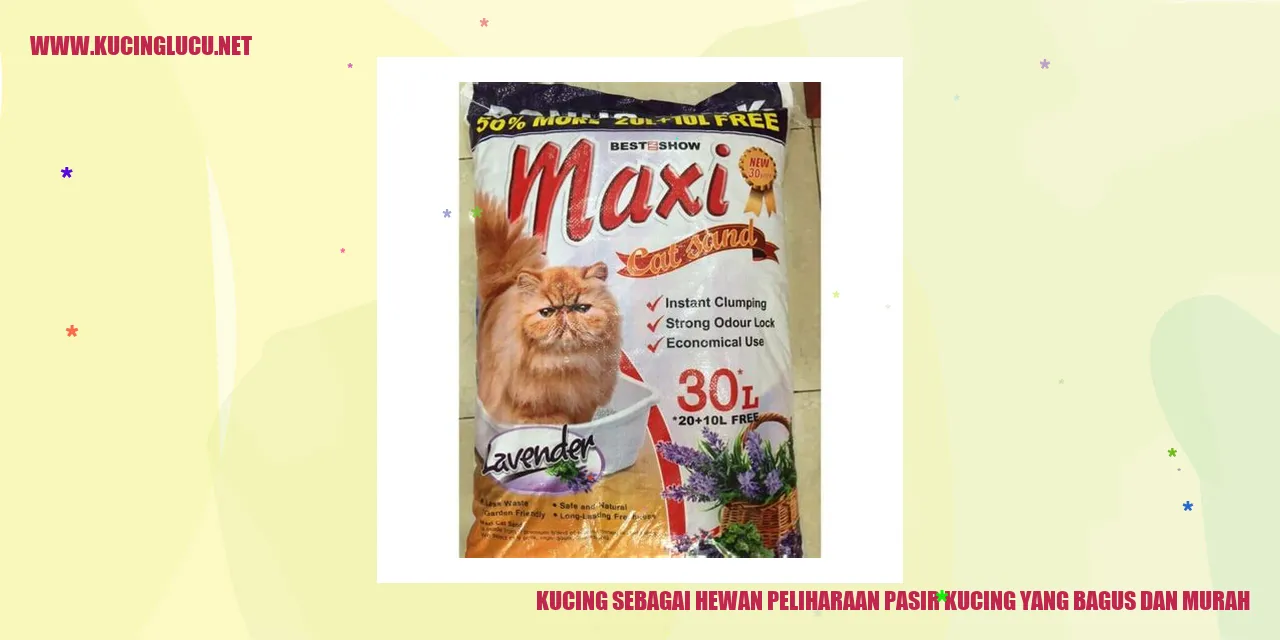Kucing Peliharaan