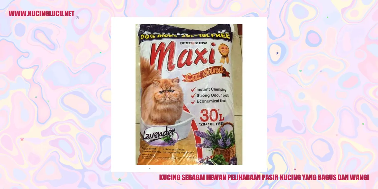 Gambar Kucing