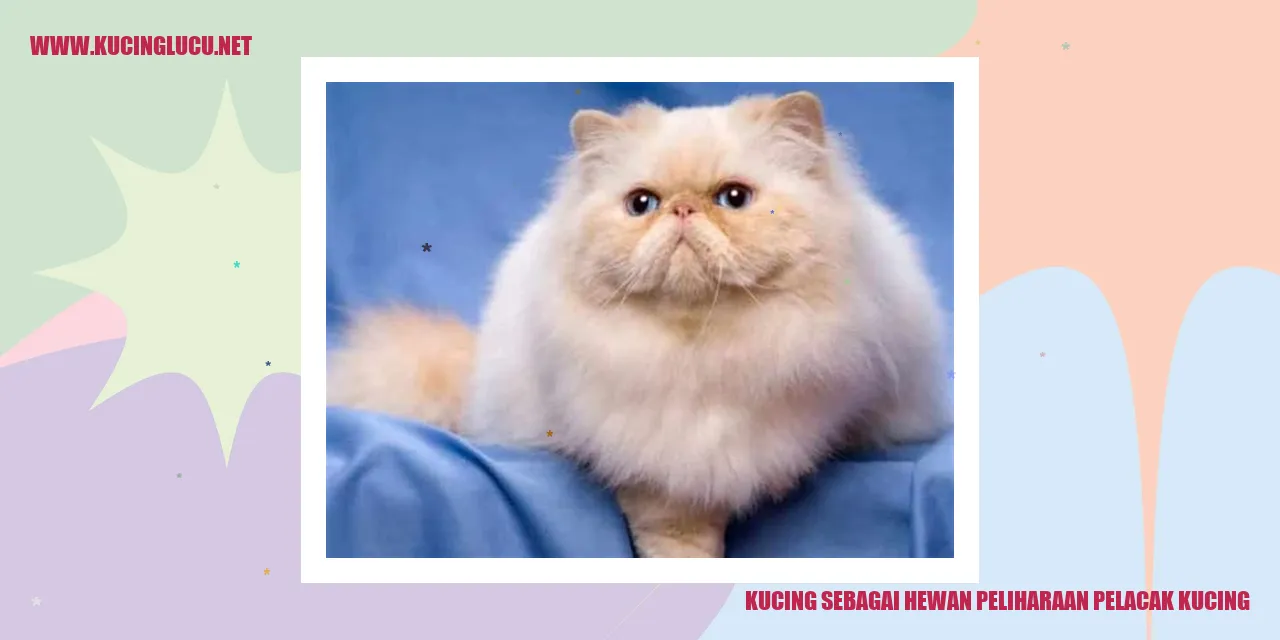 Kucing sebagai Hewan Peliharaan Pelacak Kucing