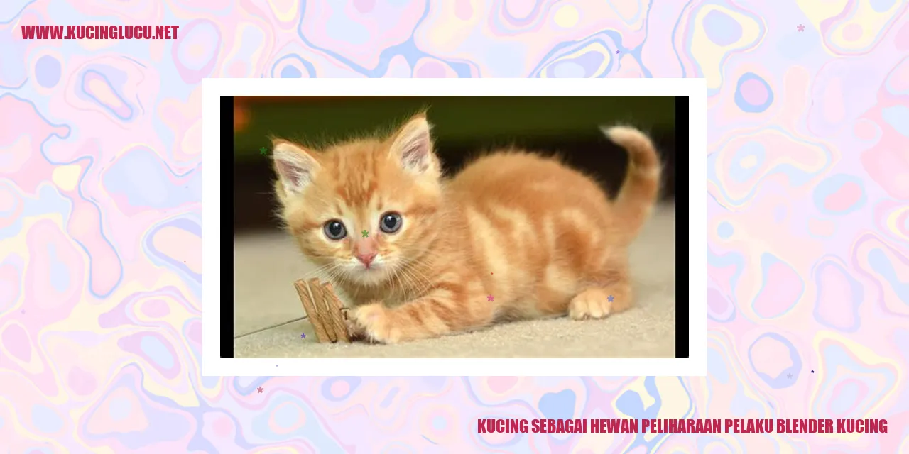 Kucing sebagai Hewan Peliharaan