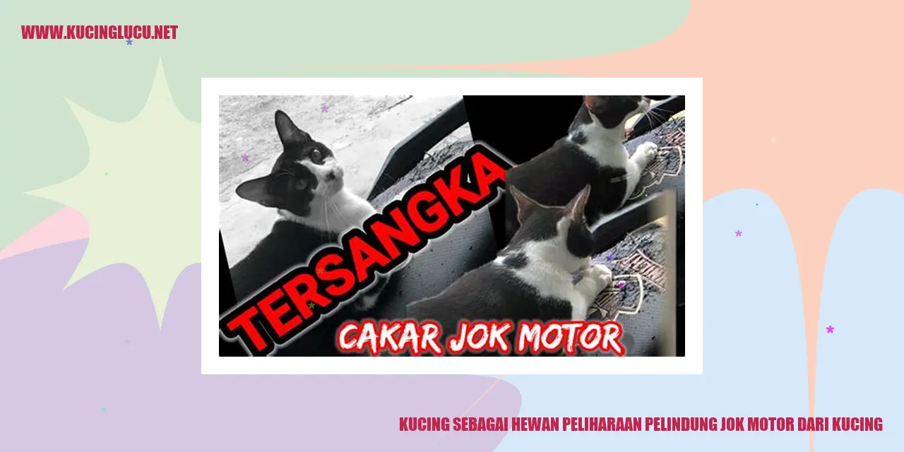 Kucing sebagai Hewan Peliharaan pelindung jok motor dari kucing