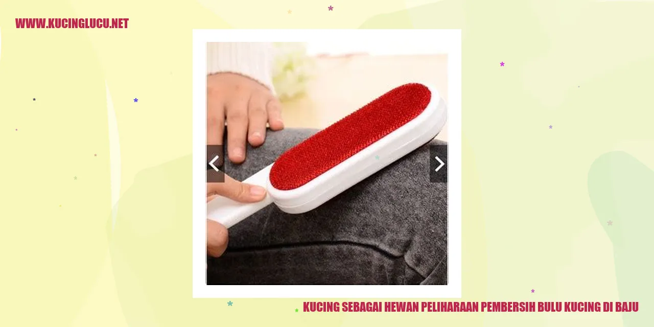Gambar Kucing Lucu