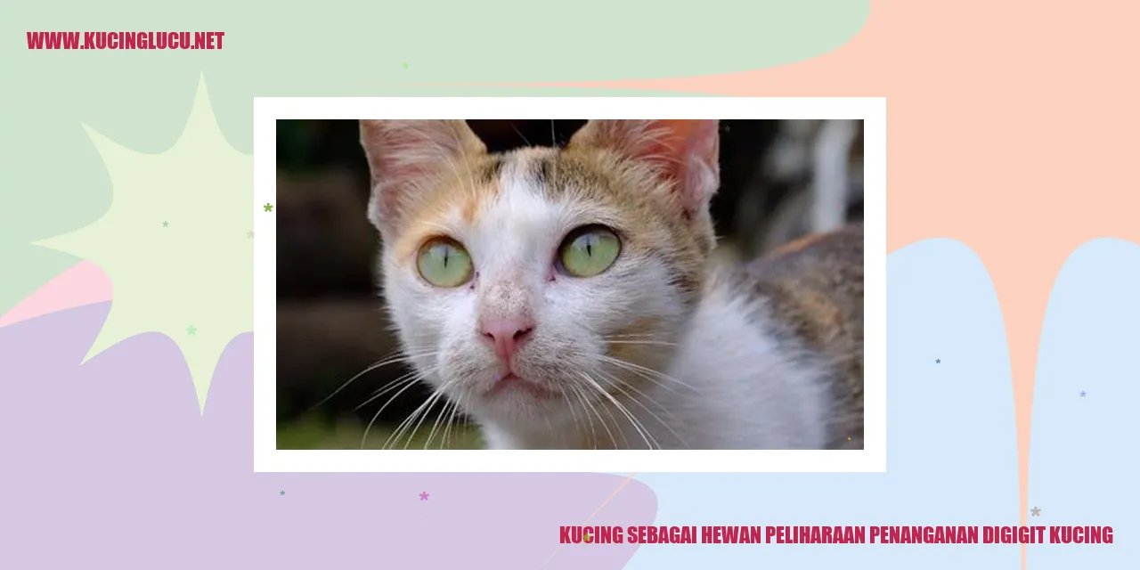 Kucing sebagai Hewan Peliharaan penanganan digigit kucing