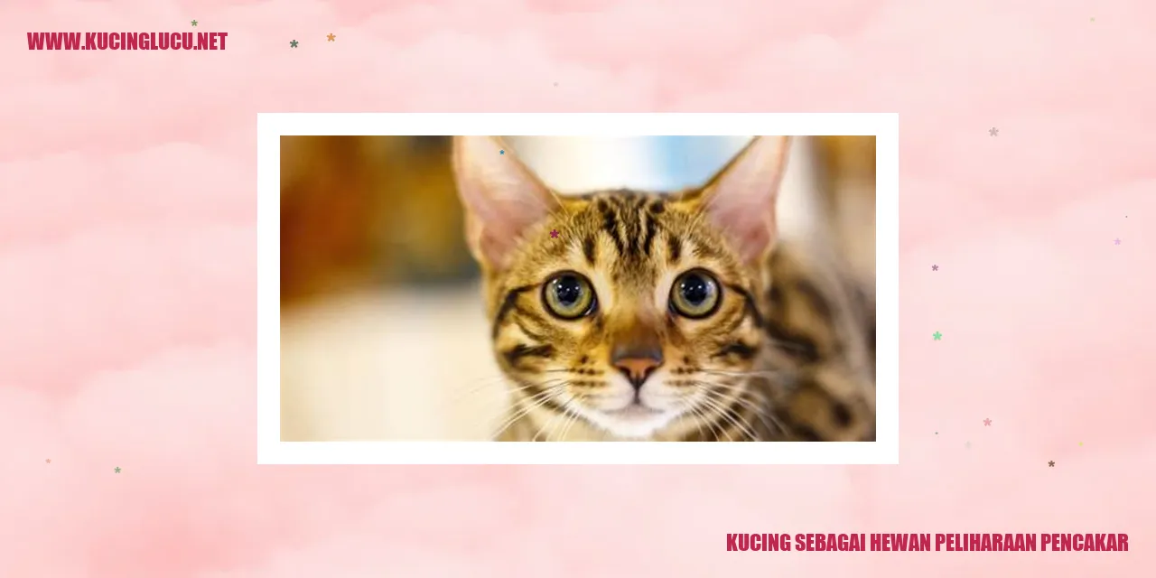 Gambar Kucing sebagai Hewan Peliharaan