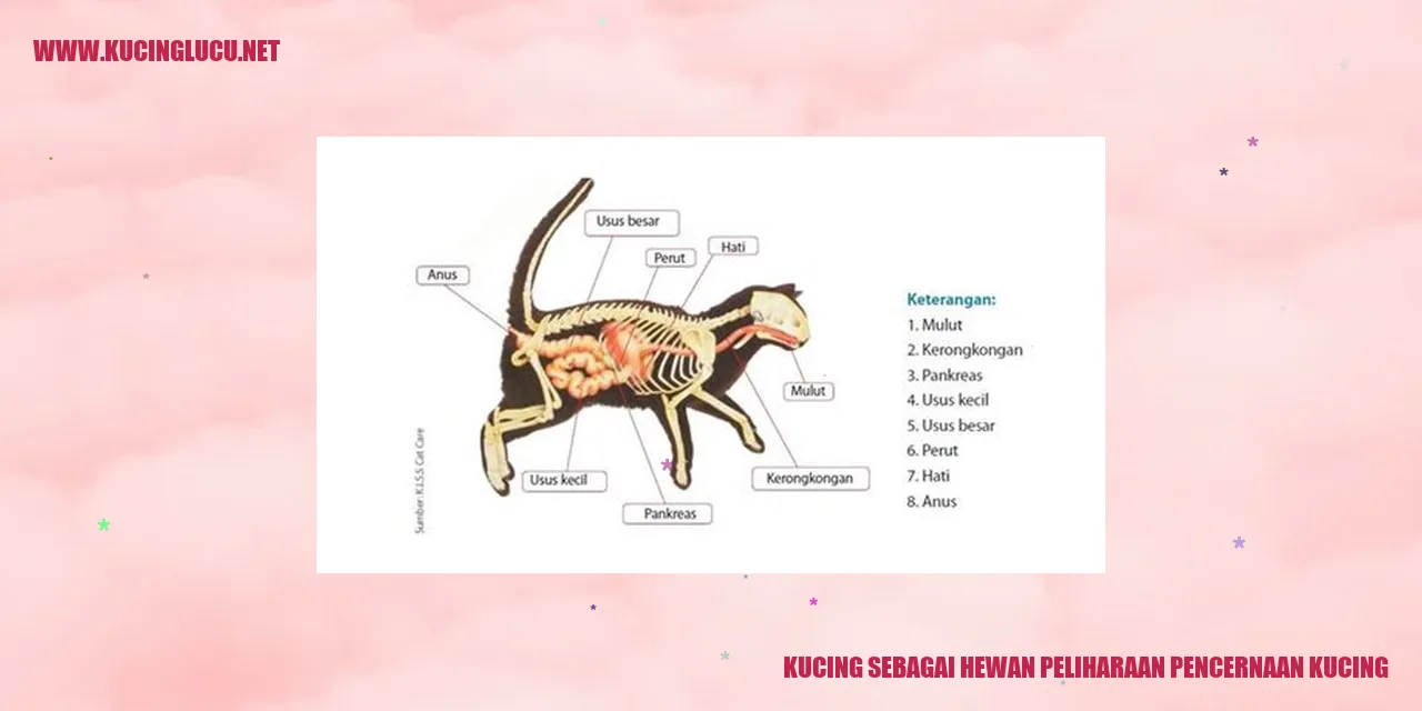 Kucing Peliharaan