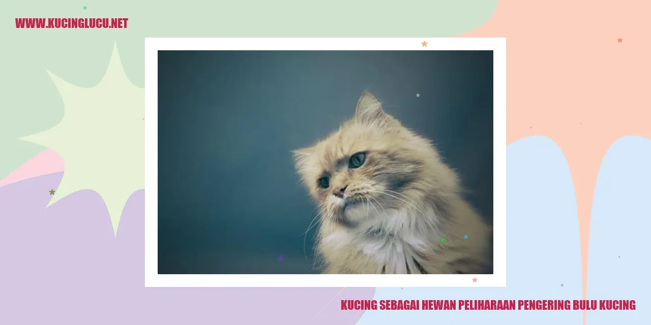 Kucing sebagai Hewan Peliharaan pengering bulu kucing