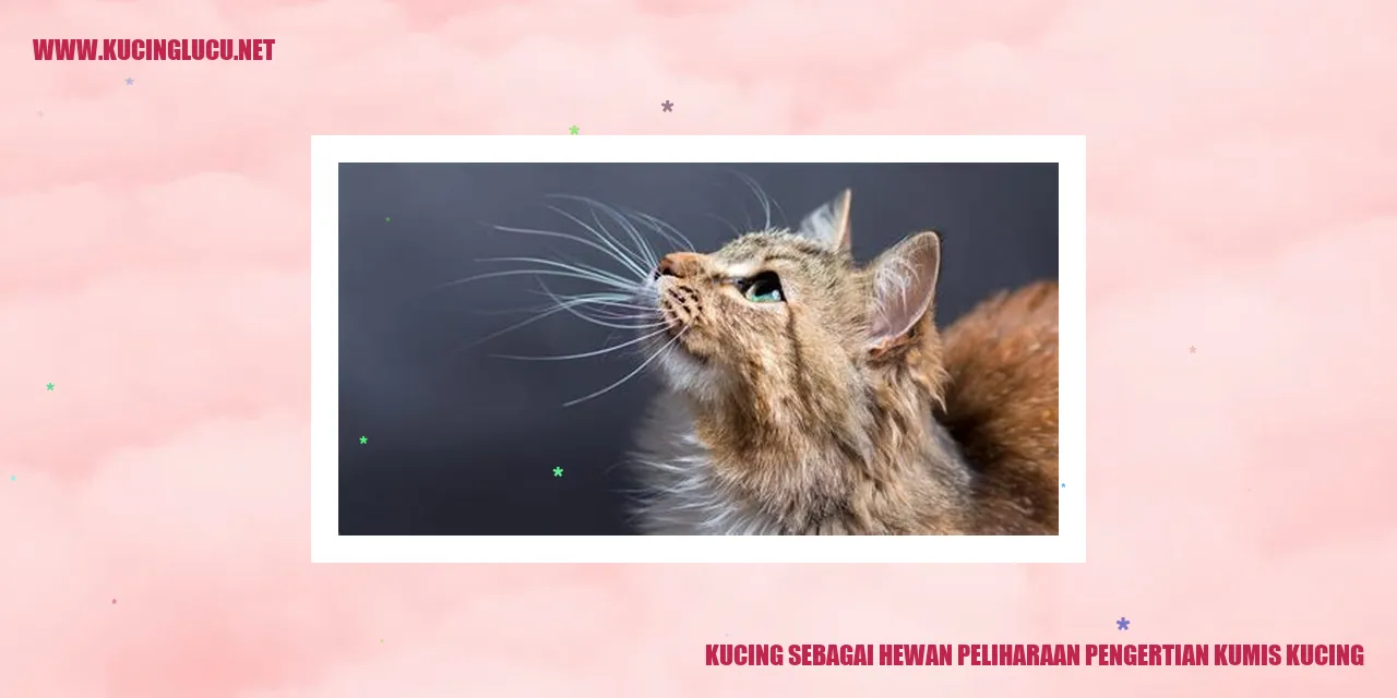 Kucing sebagai Hewan Peliharaan pengertian kumis kucing